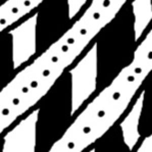 Meet your Posher, Nova